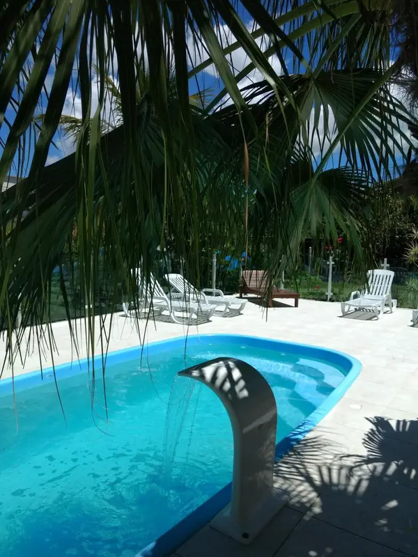 Une piscine rectangulaire bordée de chaises longues et de végétation tropicale.