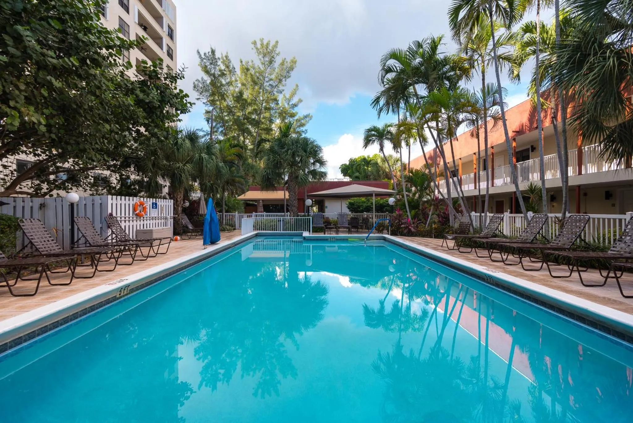 Une piscine rectangulaire bordée de chaises longues et de végétation tropicale.