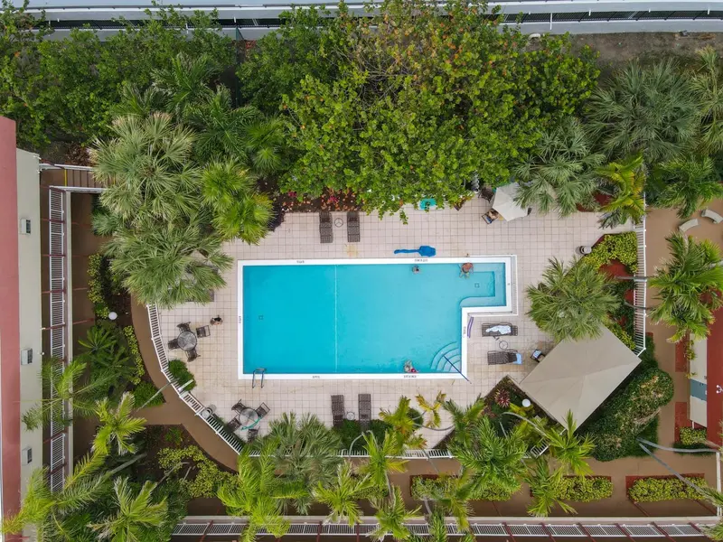 Vue aérienne d'une piscine rectangulaire entourée de végétation et de chaises longues.