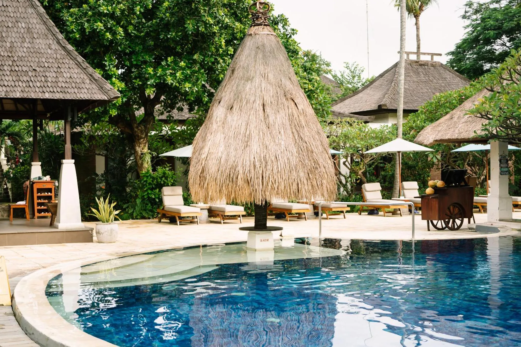 Transats et parasols disposés autour d'une piscine turquoise dans un jardin tropical.