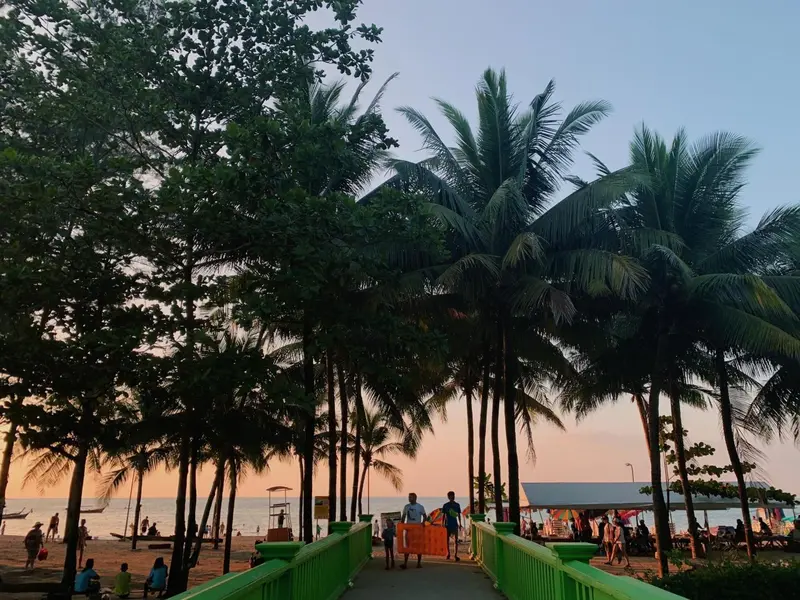Une promenade bordée de palmiers mène vers une plage au coucher du soleil.