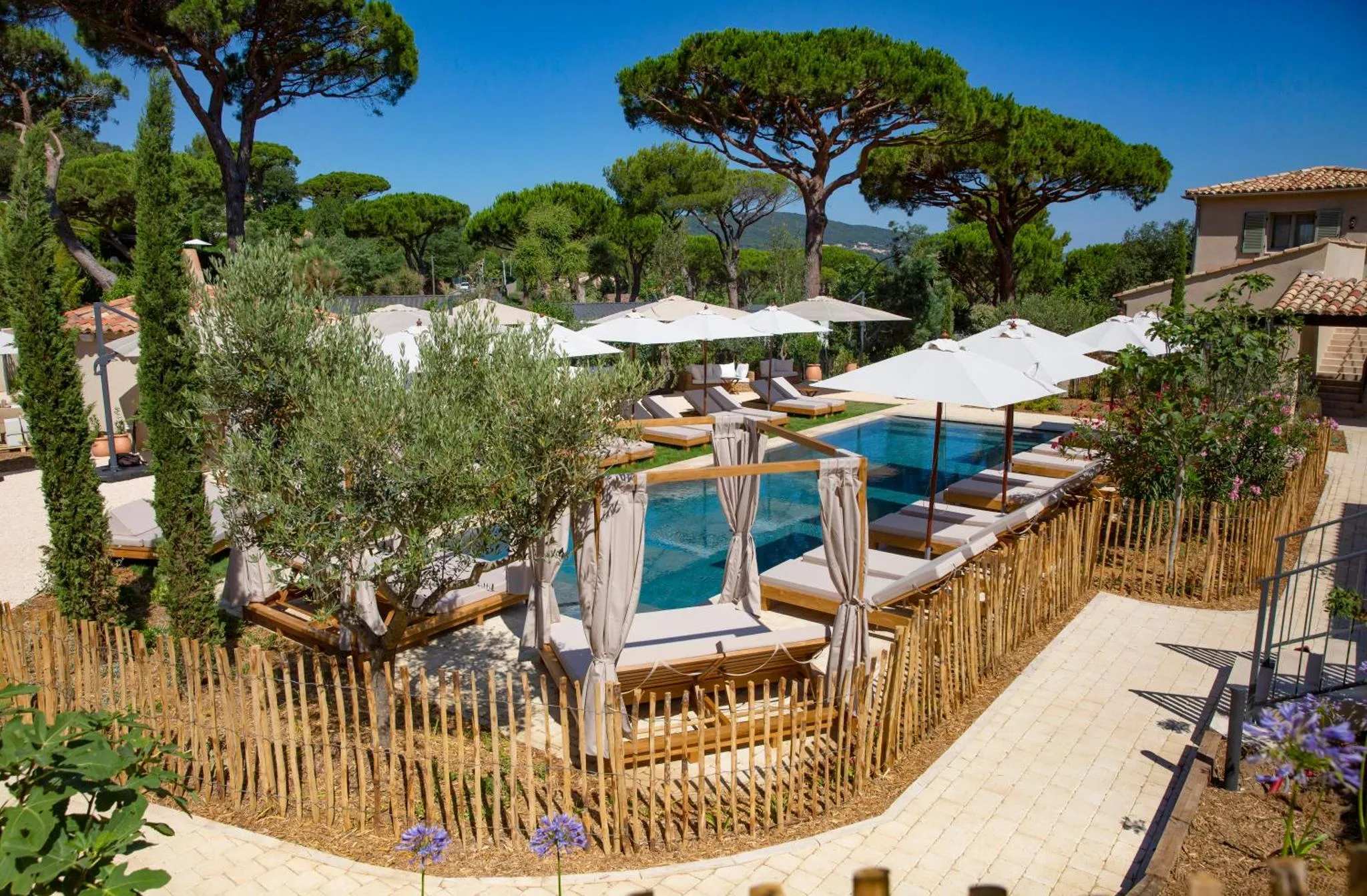 Transats blancs disposés autour d'une piscine ensoleillée, ombragés par des parasols.