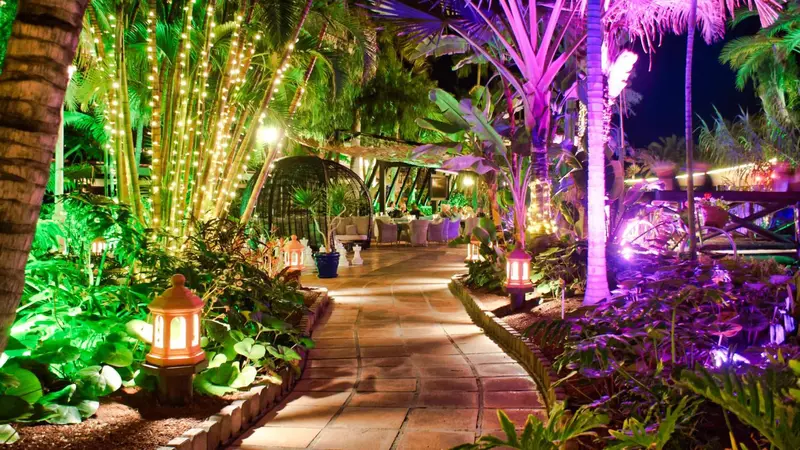 Allée illuminée bordée de végétation tropicale menant à une structure ouverte.