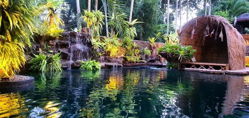 Une piscine naturelle entourée de végétation luxuriante et d'une cascade.