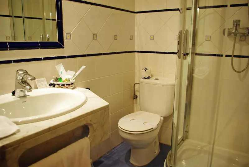 Une salle de bain avec douche, lavabo et toilettes.