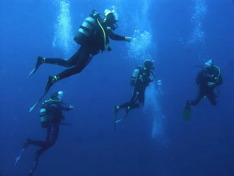 Des plongeurs explorent un monde sous-marin bleu et lumineux.