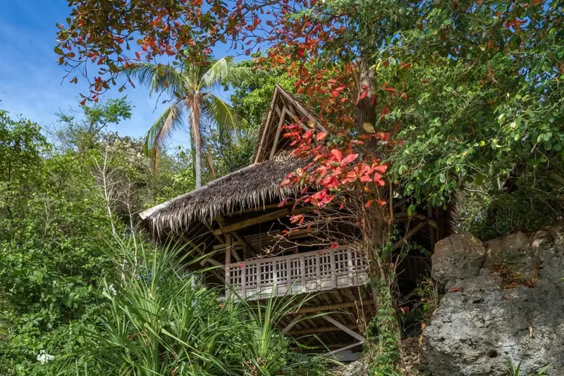 Une petite structure en bois et en chaume est nichée dans une végétation luxuriante.
