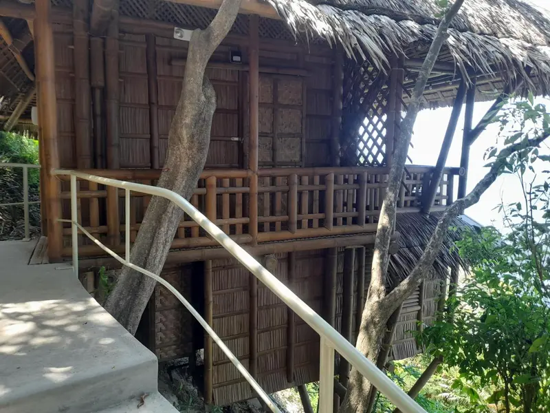 Une terrasse en bois et bambou surplombe un espace végétal.