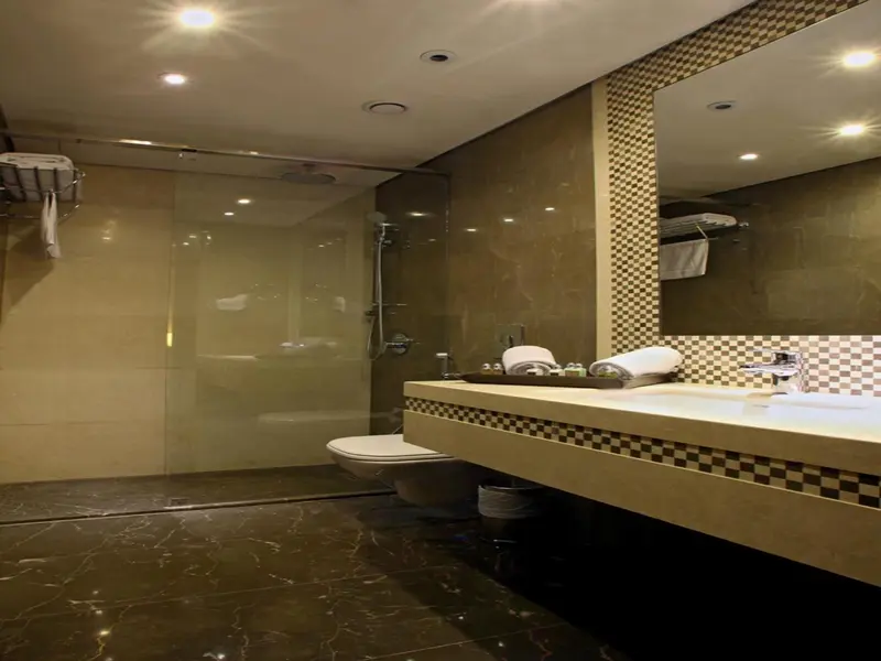 Une salle de bain moderne avec douche à l'italienne et lavabo.