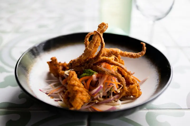 Assiette de calamars frits et de légumes croquants.