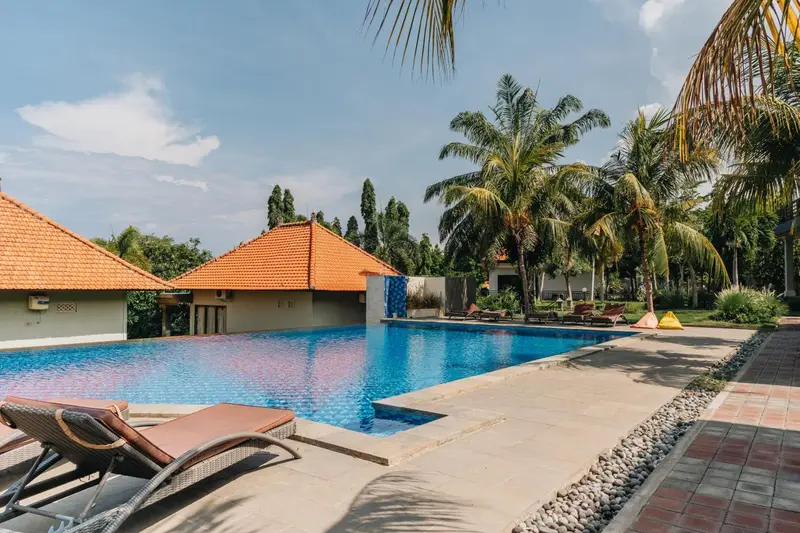 Piscine rectangulaire bordée de chaises longues et de végétation tropicale.