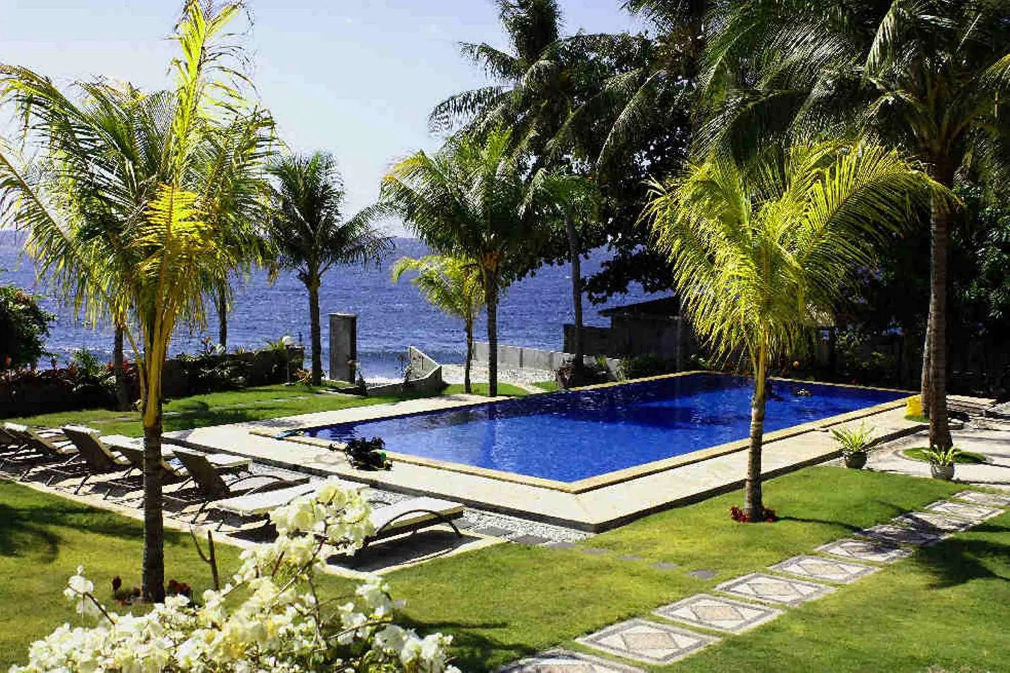 Une piscine rectangulaire bordée de chaises longues, entourée d'une végétation luxuriante et donnant sur la mer.