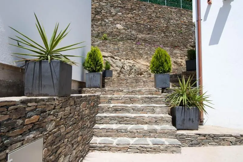 Escaliers en pierre menant à une entrée décorée de plantes en pot.