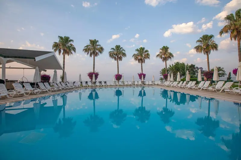 Une piscine rectangulaire bordée de transats blancs reflète les palmiers et le ciel bleu.