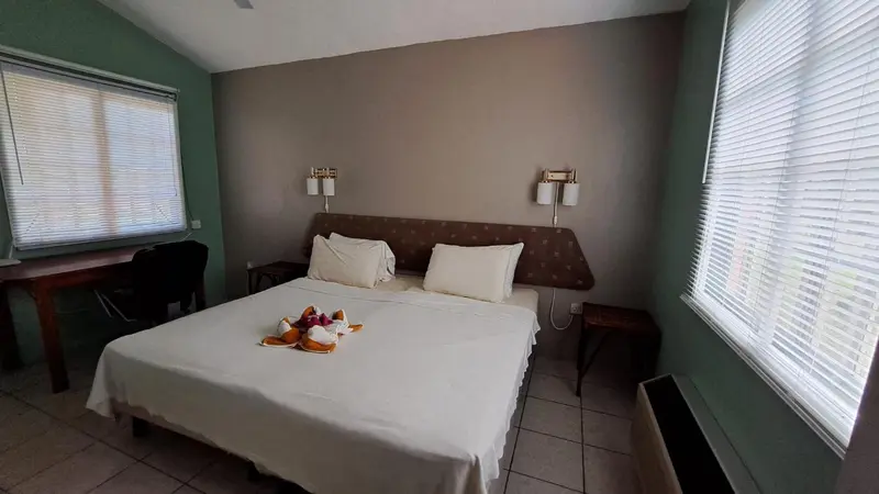 Une chambre lumineuse avec un grand lit recouvert d'une courtepointe blanche.