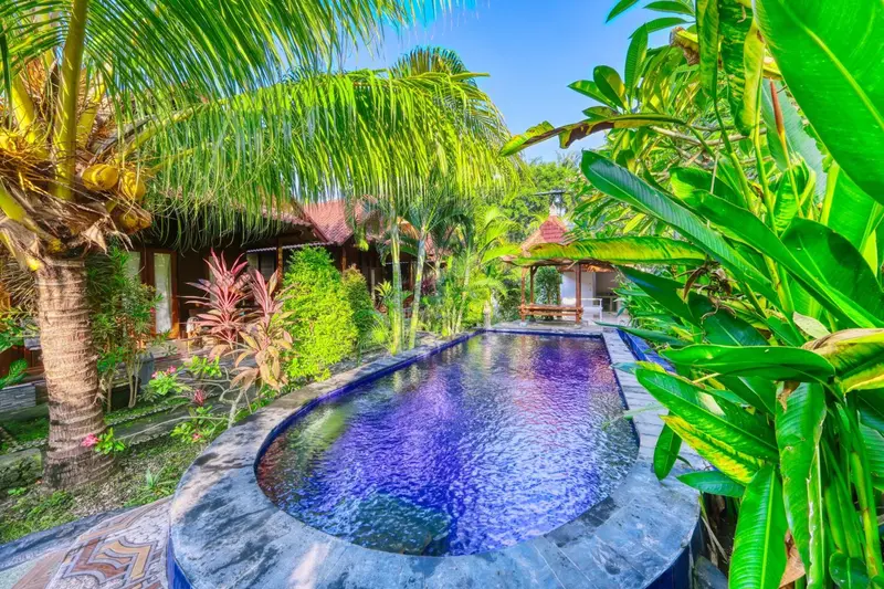 Une piscine rectangulaire bordée de végétation luxuriante et de palmiers.