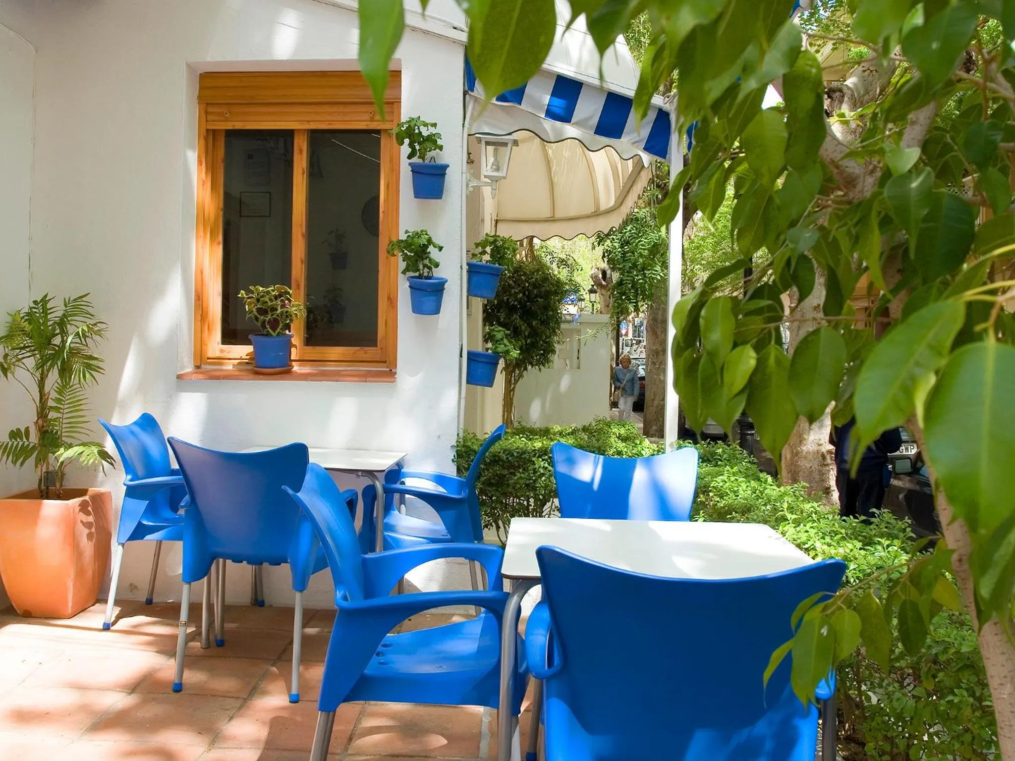 Terrasse ombragée avec tables et chaises bleues, plantes en pots et végétation luxuriante.