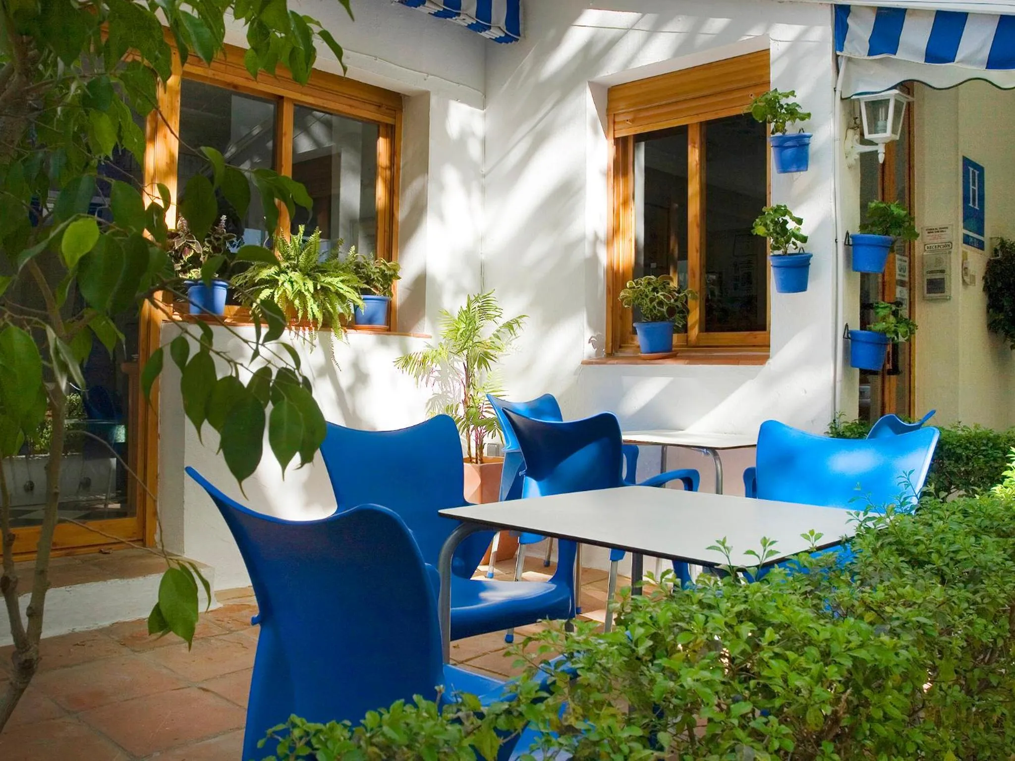 Terrasse ombragée avec tables et chaises bleues, plantes en pots et fenêtres.