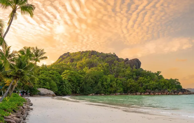 Une plage de sable blanc bordée de végétation luxuriante au coucher du soleil.