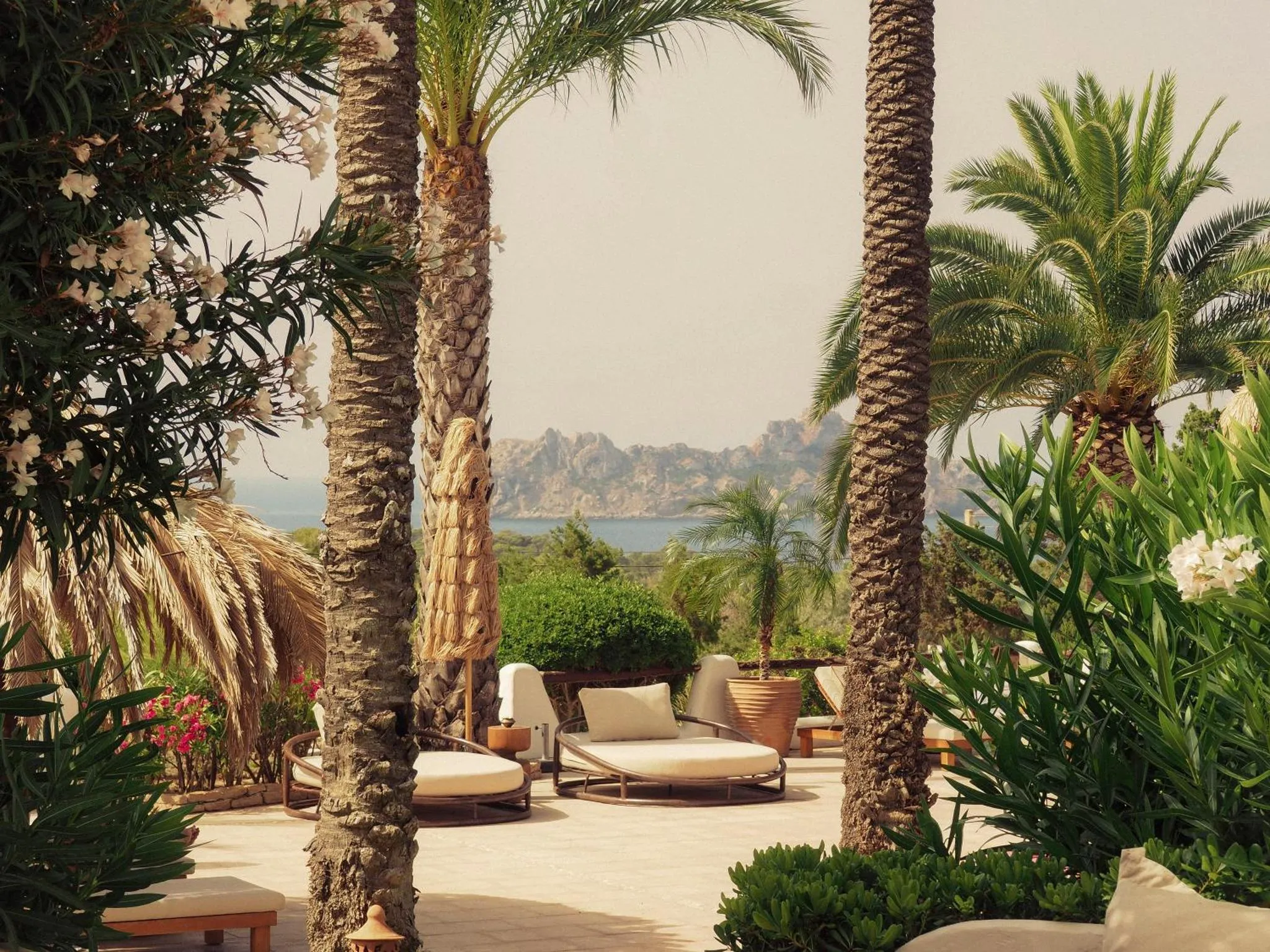 Terrasse avec mobilier de détente et végétation tropicale face à la mer.