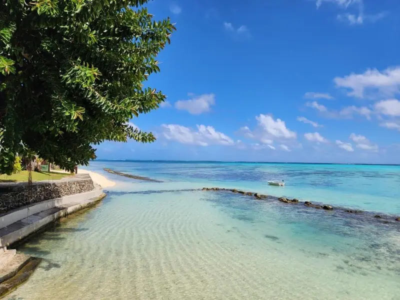 Vue sur une plage turquoise bordée d'une promenade et d'une végétation luxuriante.