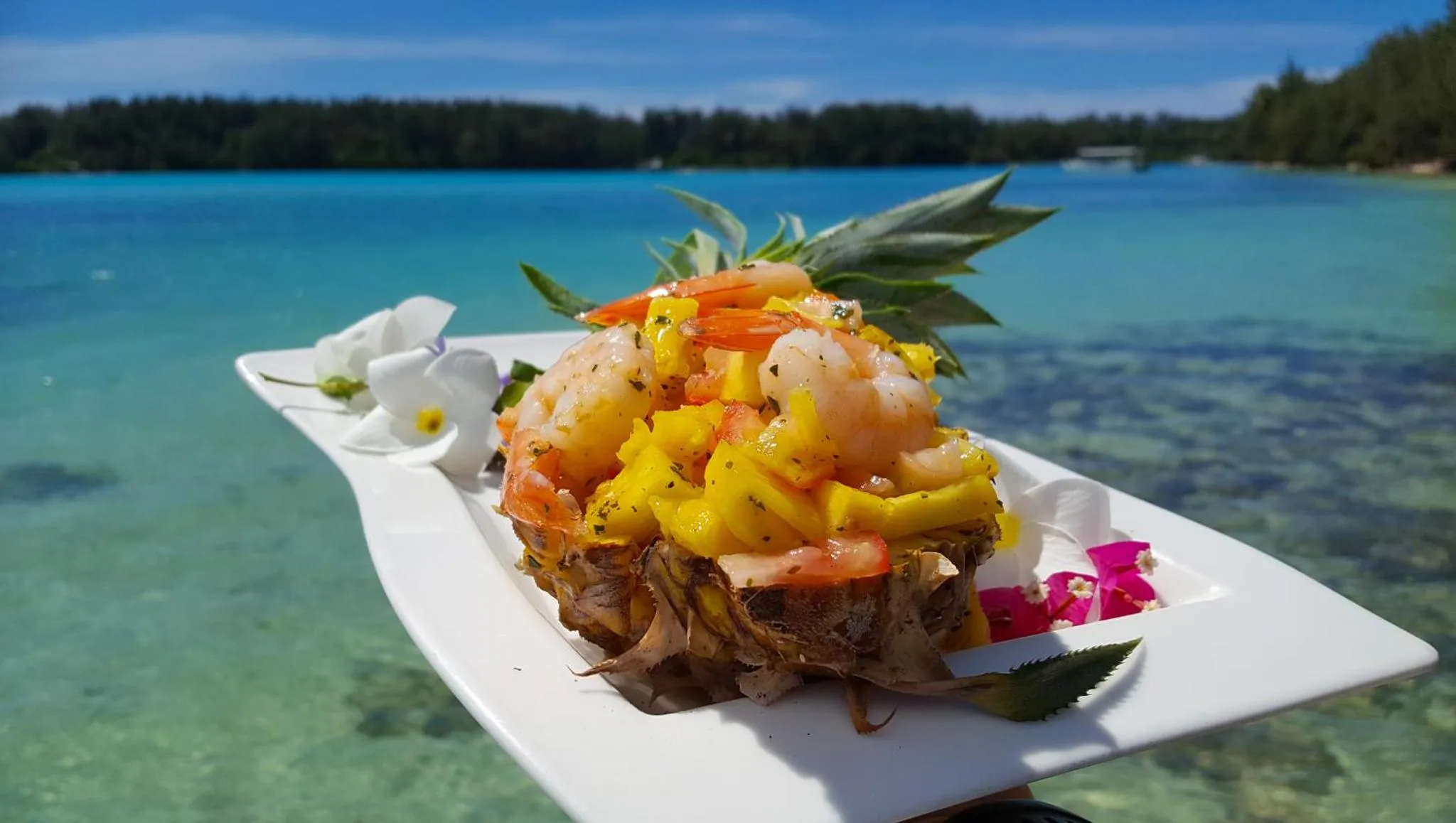 Assiette de fruits de mer exotiques présentée sur une plage tropicale.