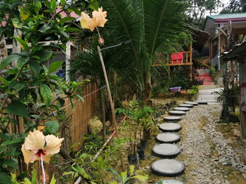 Chemin de pierre traversant un jardin tropical luxuriant.