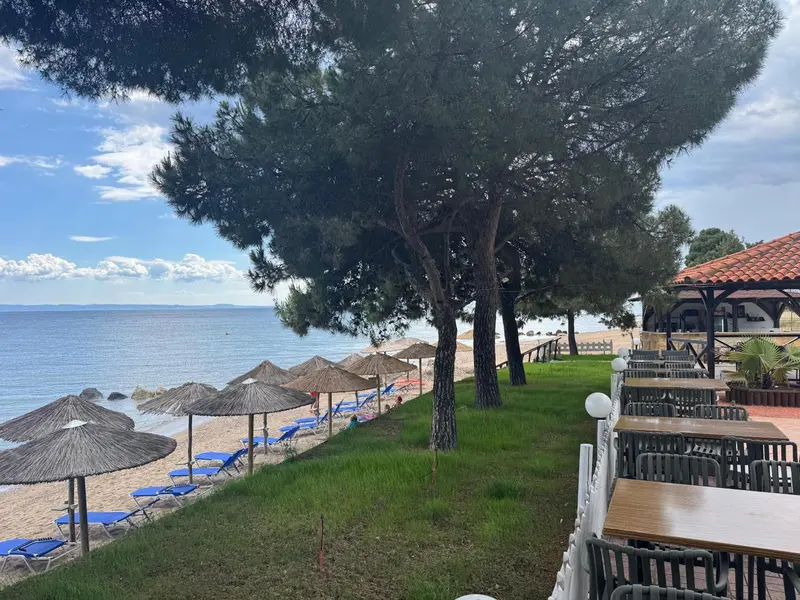 Vue sur une plage avec des parasols et des transats sous des pins.