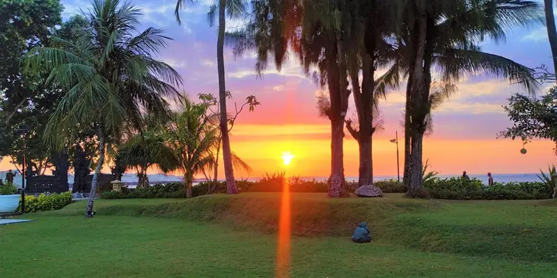 Coucher de soleil sur une pelouse verdoyante bordée de palmiers.