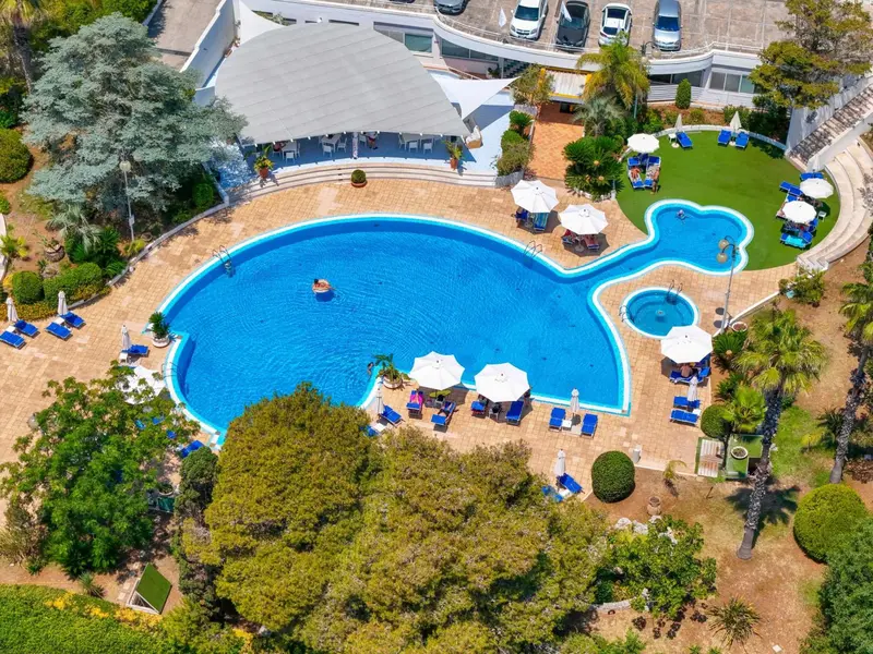 Vue aérienne d'une piscine en forme de baleine entourée de transats et de parasols.