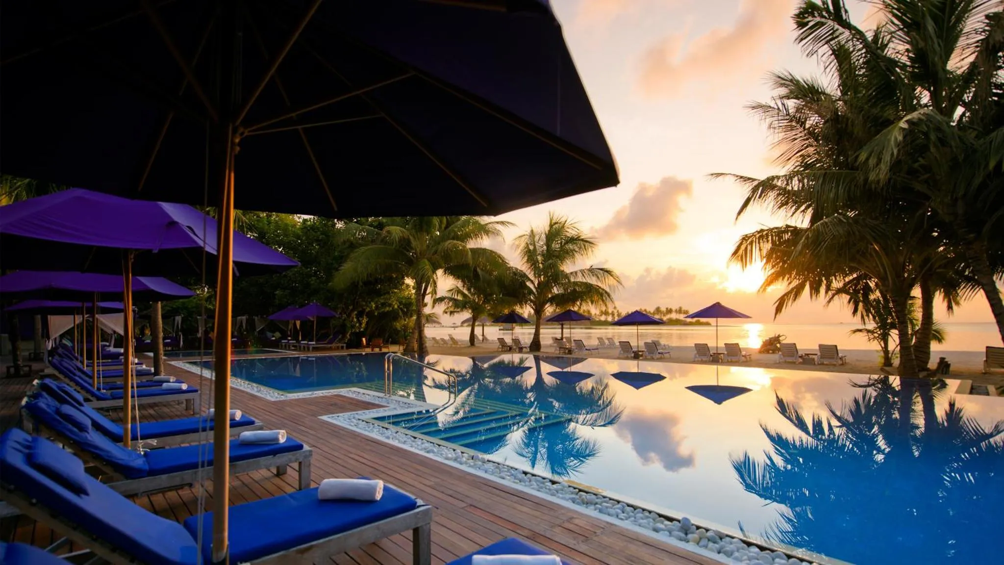 Transats bleus alignés au bord d'une piscine turquoise, avec des palmiers et un coucher de soleil en arrière-plan.