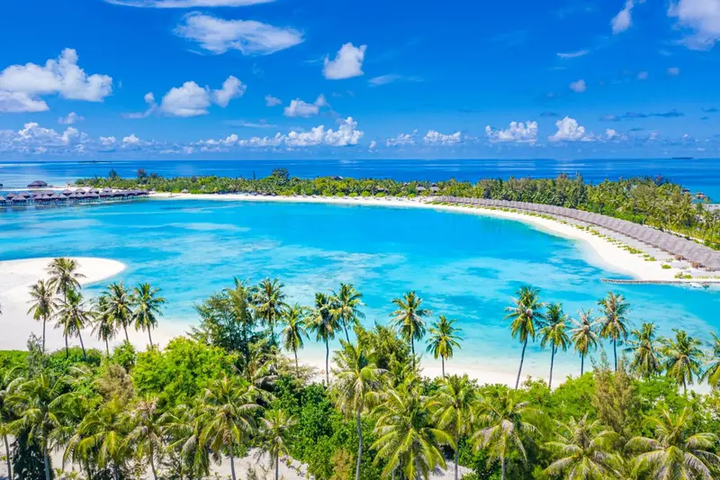 Vue aérienne d'une plage de sable blanc bordée de palmiers et d'une eau turquoise.