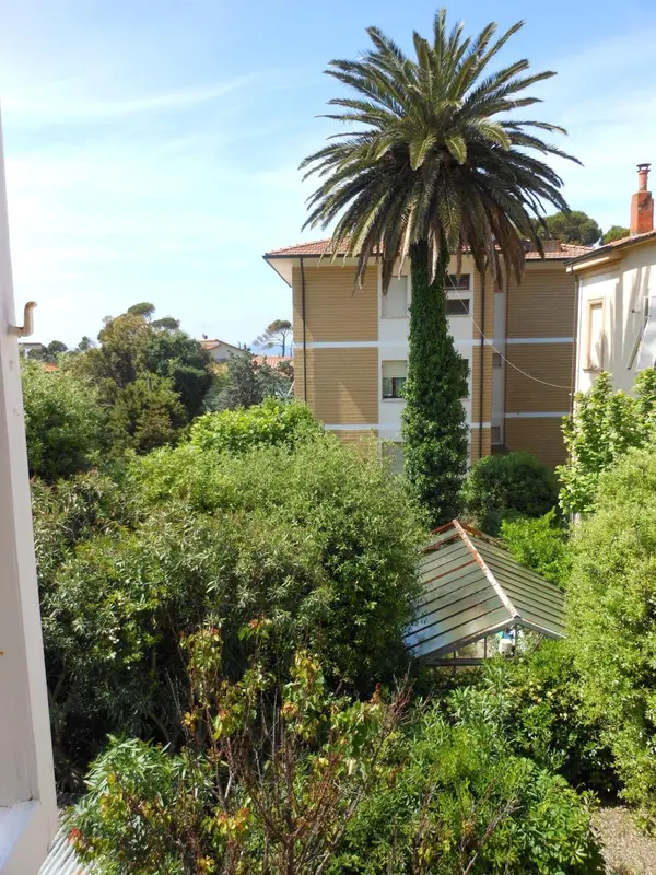 Vue d'une végétation luxuriante devant des bâtiments clairs.