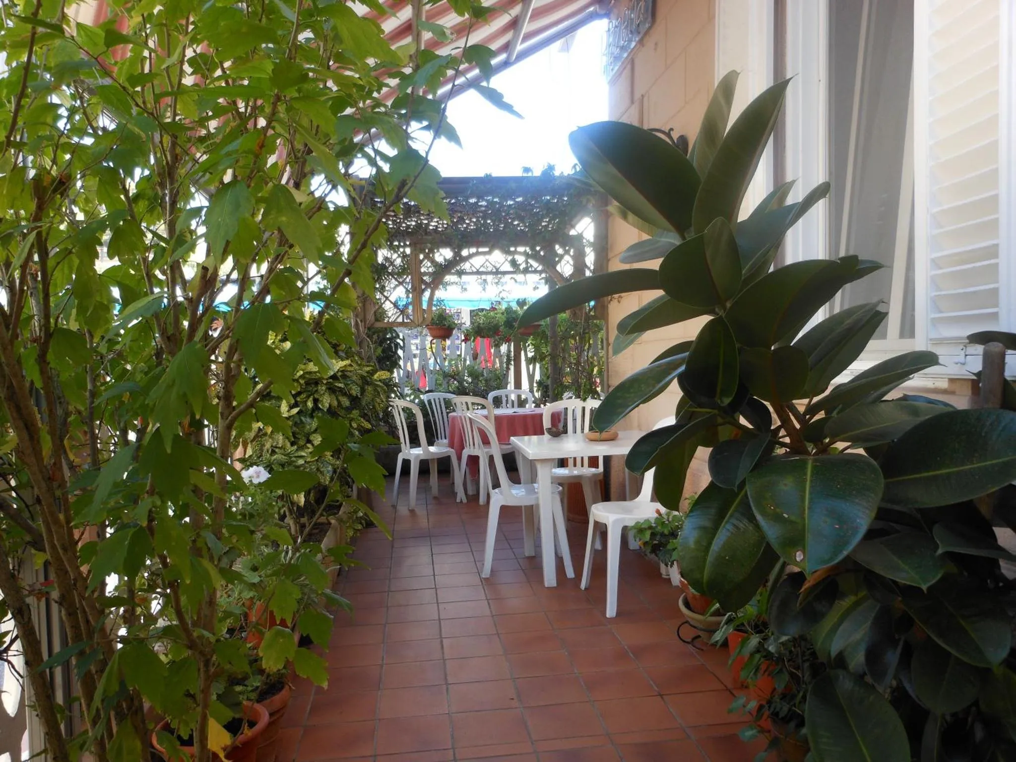Terrasse ombragée avec tables et chaises blanches entourée de plantes vertes.