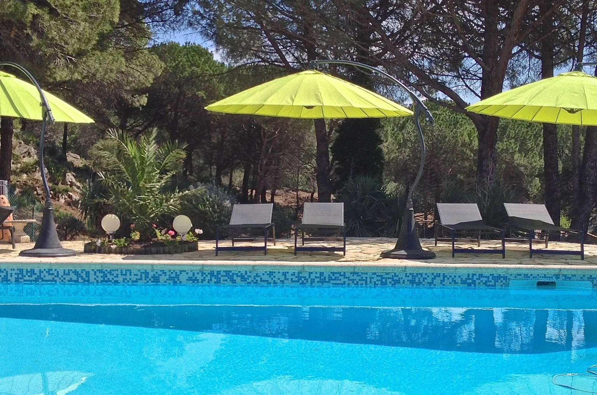 Transats et parasols verts au bord d'une piscine bleue.