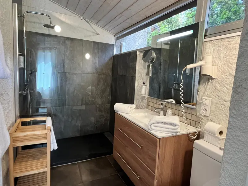 Une salle de bain moderne avec douche à l'italienne et meuble vasque en bois.
