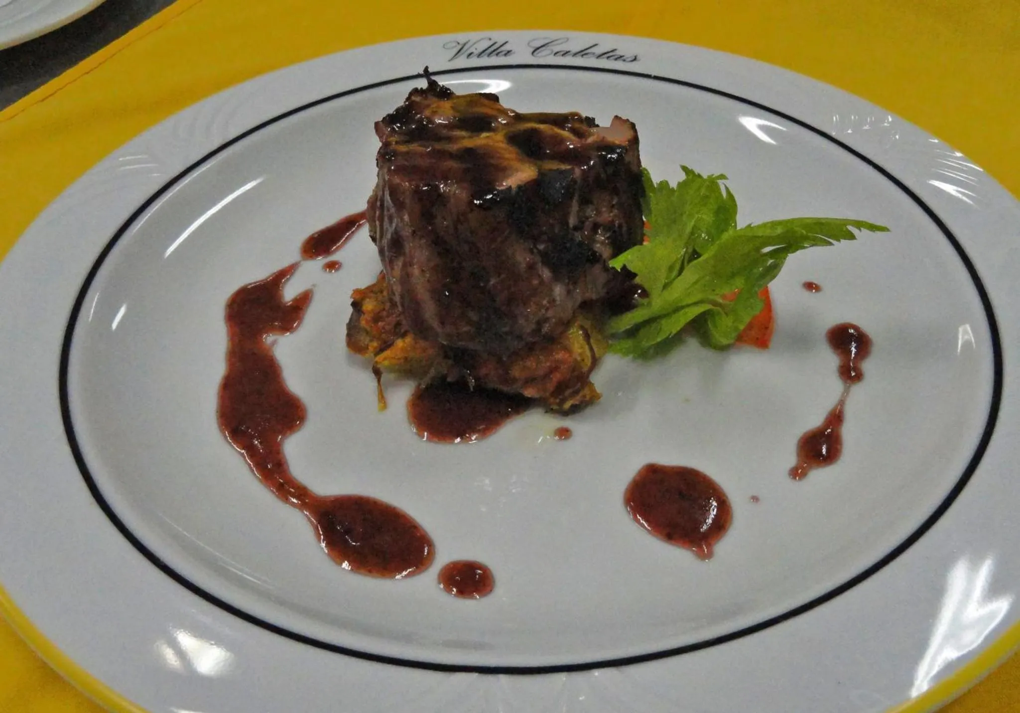 Assiette de viande ornée de sauce et de verdure.