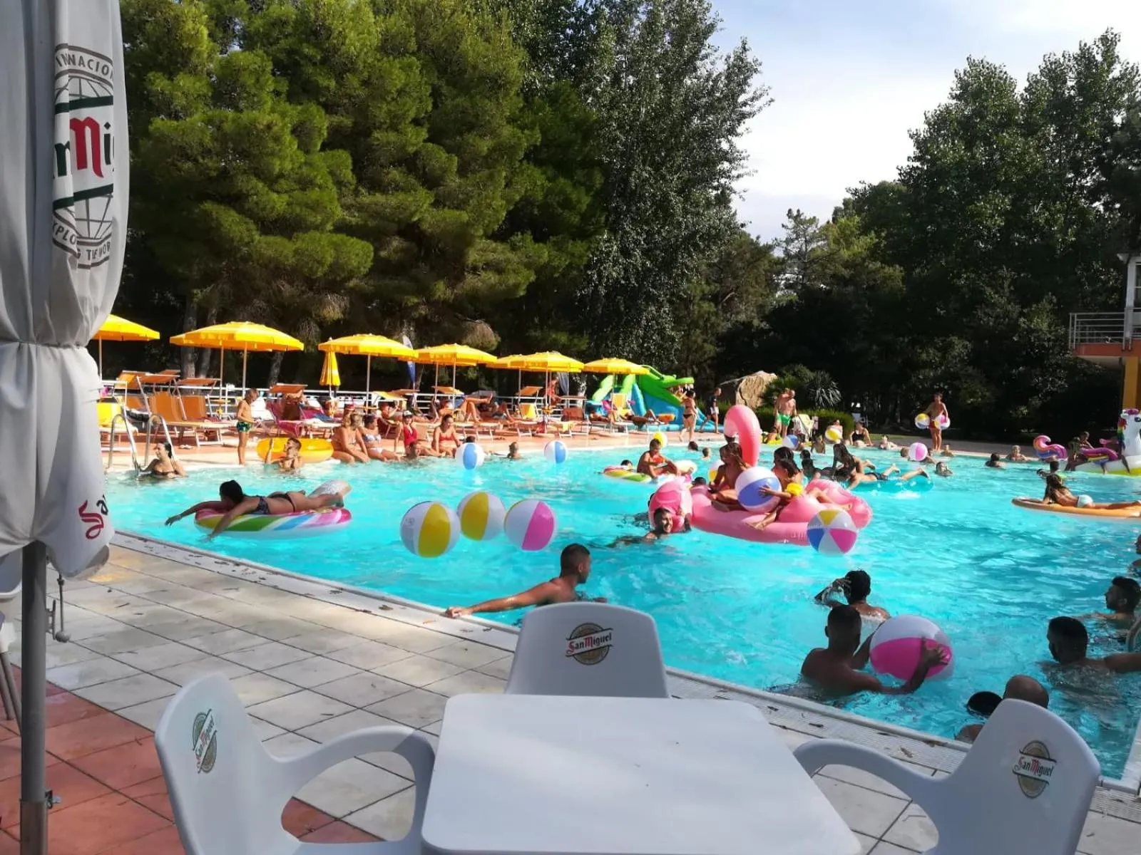 Une piscine ensoleillée avec des personnes se baignant et se relaxant.