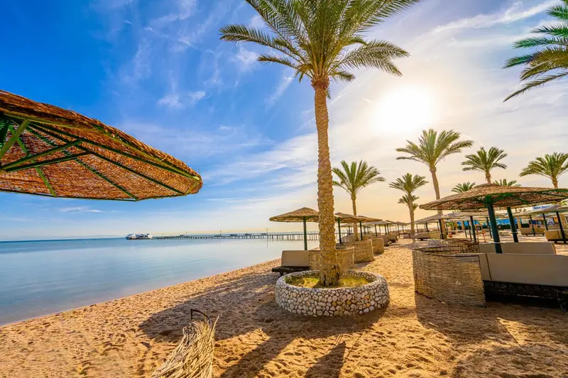 Plage de sable fin avec parasols et palmiers sous un ciel bleu.
