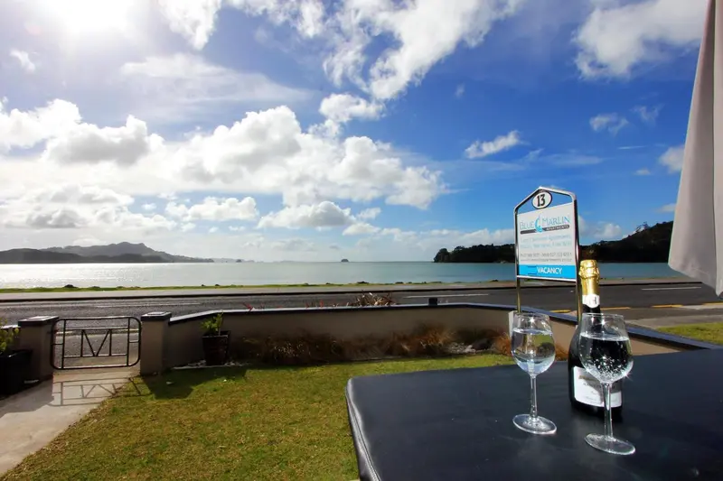 Une table avec des verres et une bouteille de champagne est placée sur une pelouse verdoyante avec vue sur la mer.