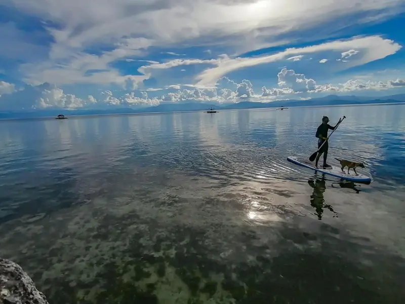 Une personne pratique le paddleboard avec un chien sur une eau calme et claire.