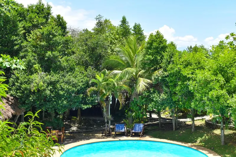Une piscine turquoise bordée de végétation luxuriante et de chaises longues bleues.