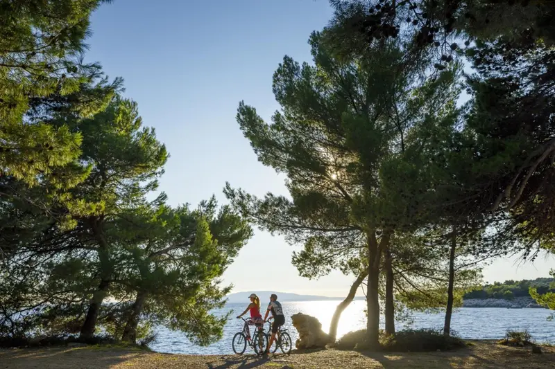 Deux personnes à vélo sur un chemin côtier ensoleillé.