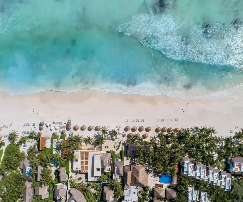 Vue aérienne d'une plage de sable blanc bordée de palmiers et de transats.