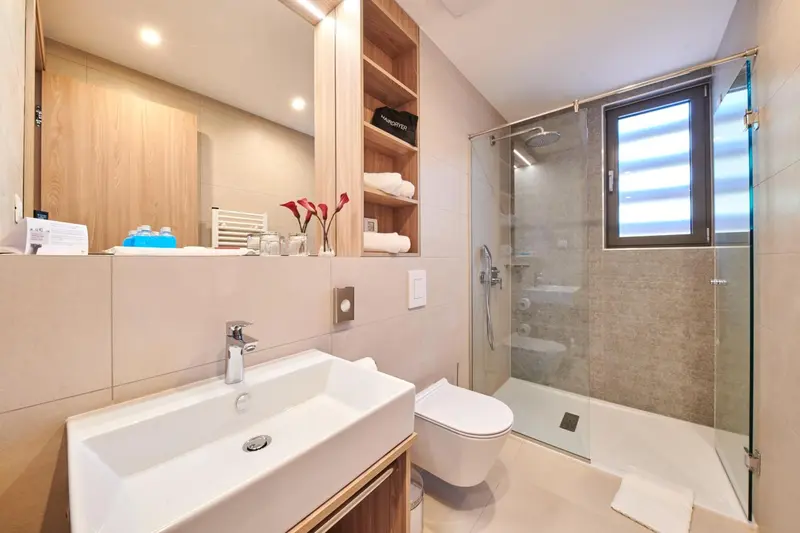 Une salle de bain moderne avec douche à l'italienne et vasque blanche.