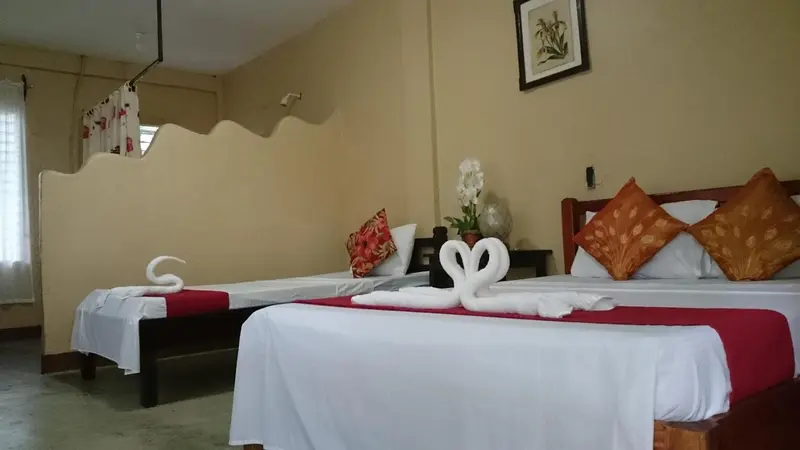Une chambre avec deux lits simples décorés de serviettes en forme de cygnes.