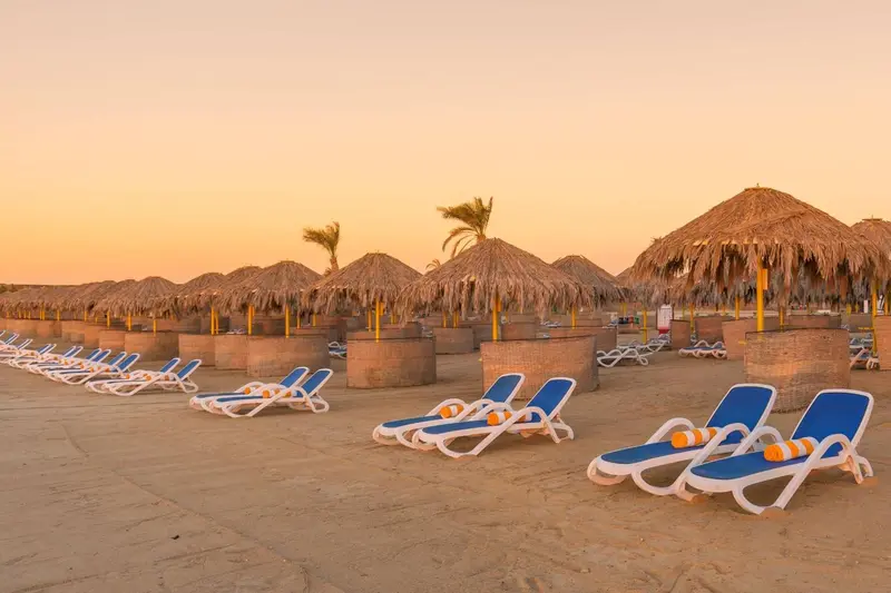 Transats bleus alignés sur une plage de sable fin sous des parasols en chaume au coucher du soleil.