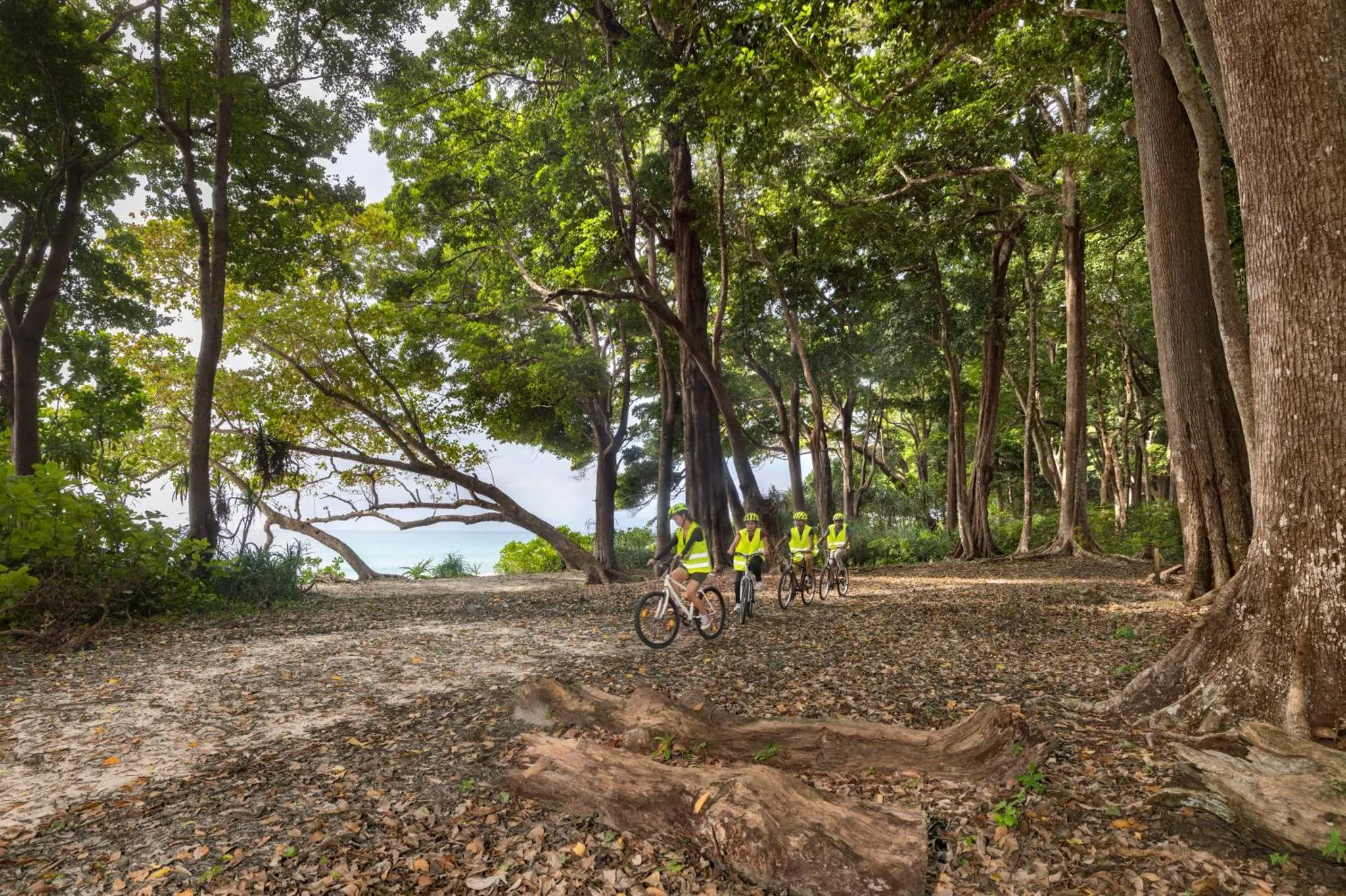 Un groupe de personnes à vélo roule sur un sentier forestier en bord de mer.