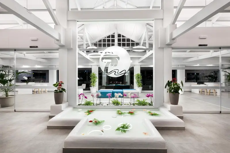 Espace intérieur lumineux avec fontaine ornementale et végétation.
