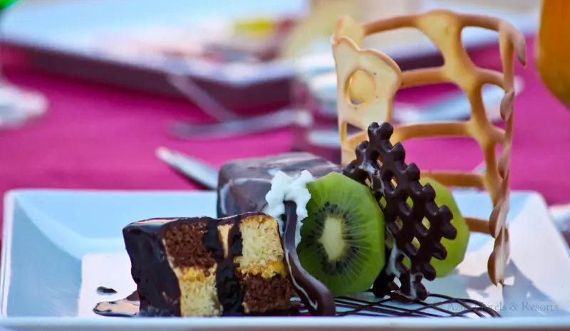 Une assiette présente un dessert au chocolat, au kiwi et à la crème.
